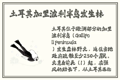 挽起裙子迈开迈腿双人运动
